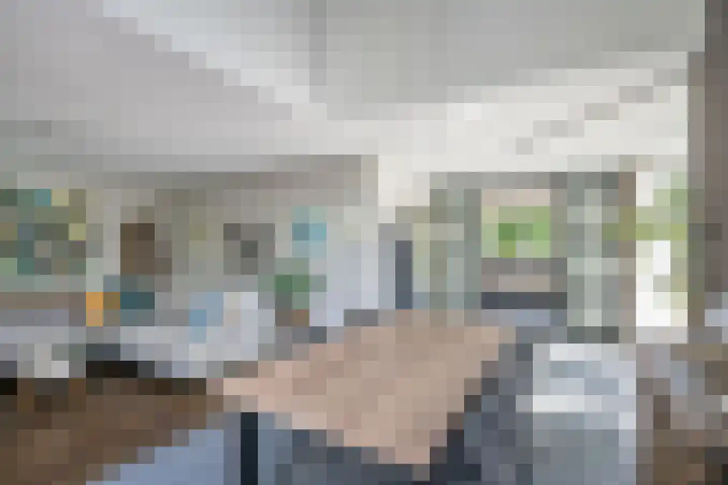 Behrenslijn 13 Zoetermeer thumbnail 18