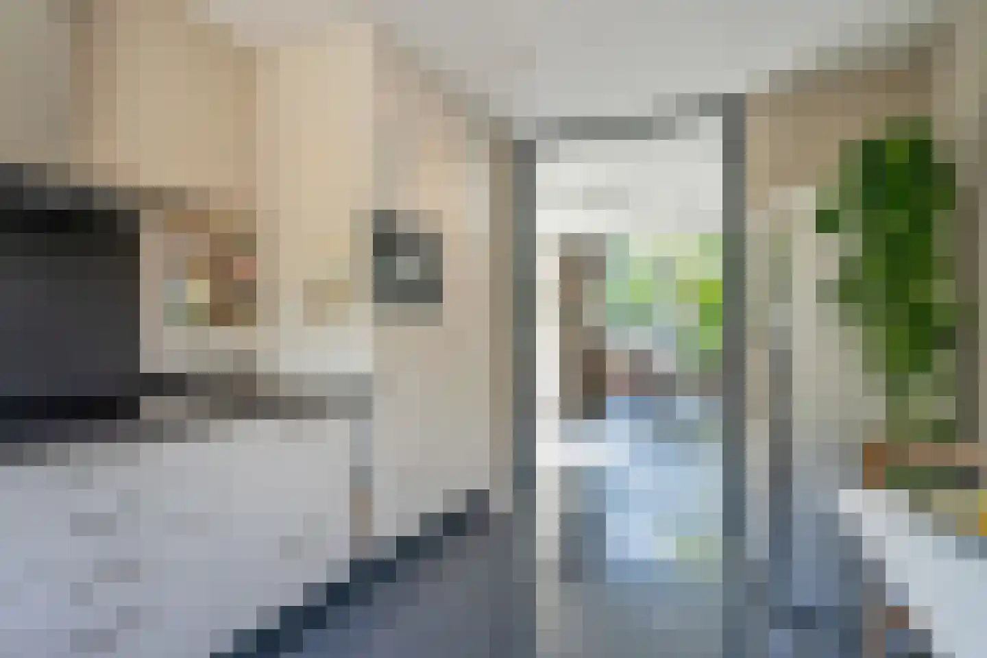 Behrenslijn 13 Zoetermeer thumbnail 22