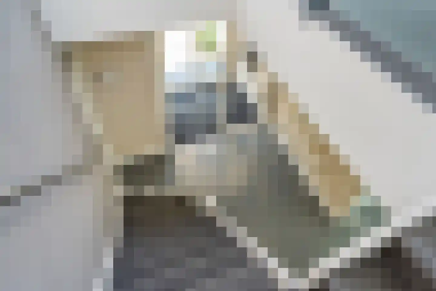 Behrenslijn 13 Zoetermeer thumbnail 32