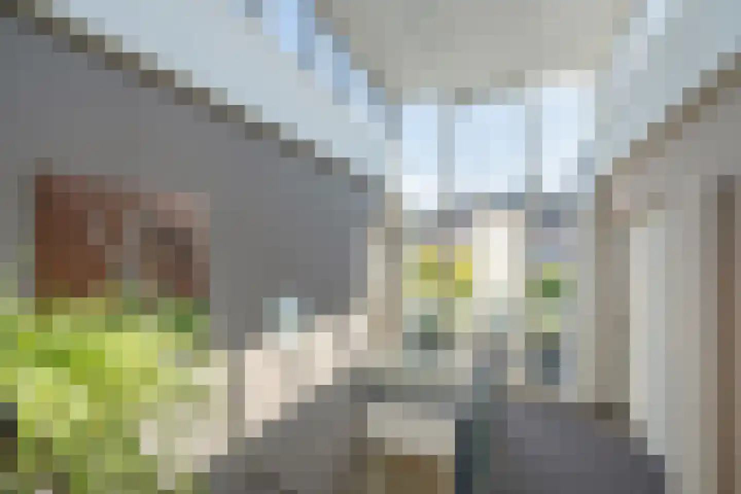 Behrenslijn 13 Zoetermeer thumbnail 33