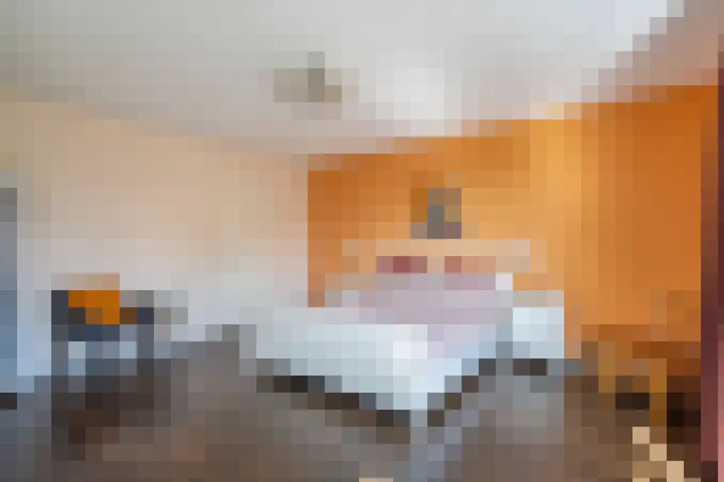Behrenslijn 13 Zoetermeer thumbnail 34