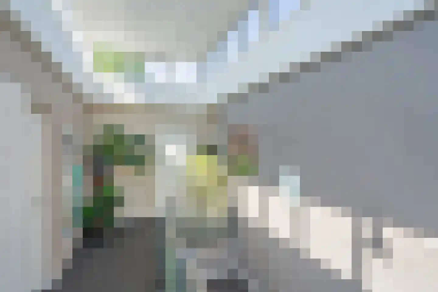 Behrenslijn 13 Zoetermeer thumbnail 37
