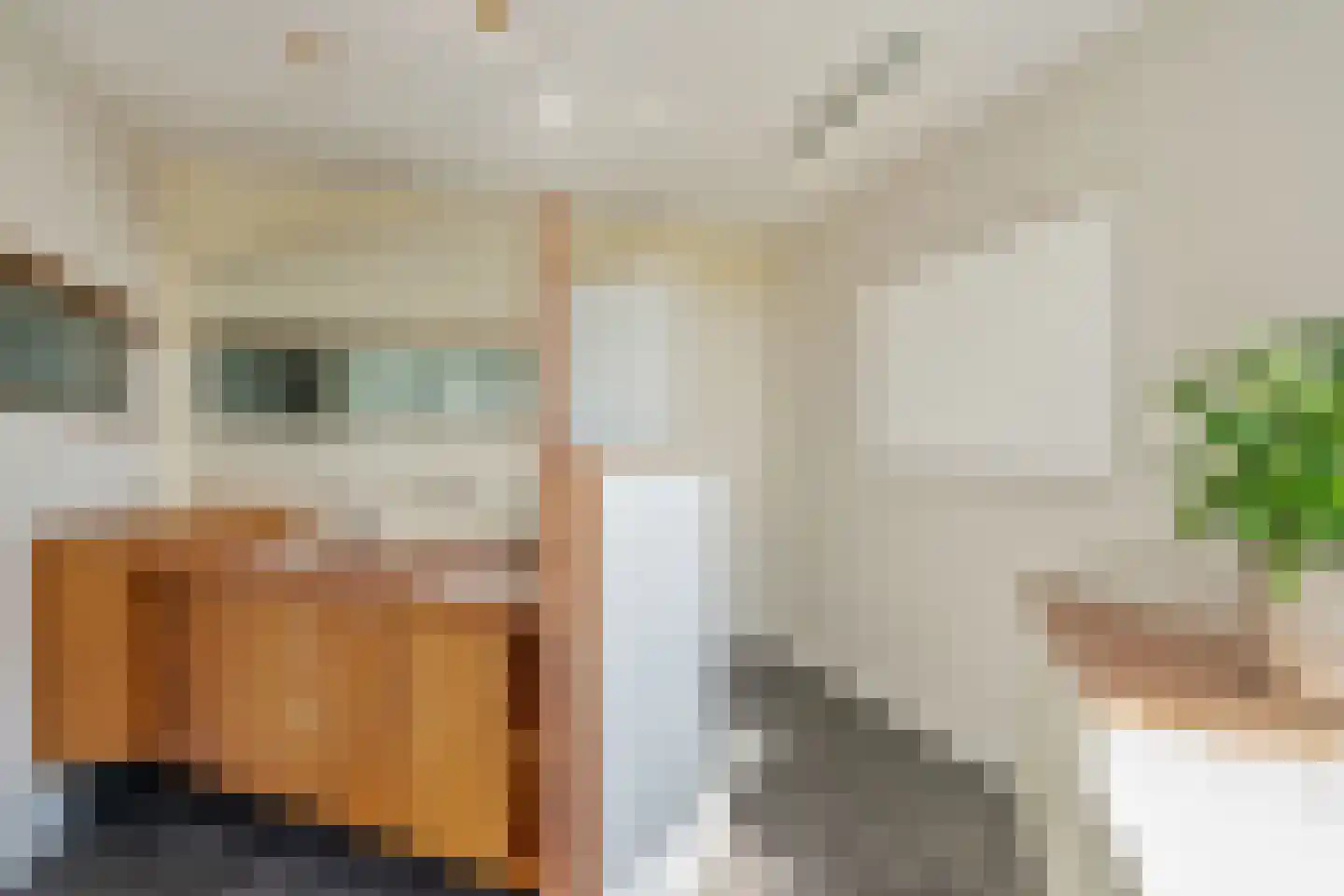 Behrenslijn 13 Zoetermeer thumbnail 42