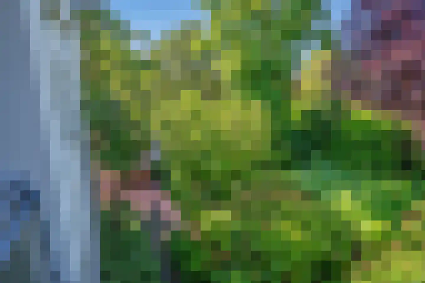 Behrenslijn 13 Zoetermeer thumbnail 47
