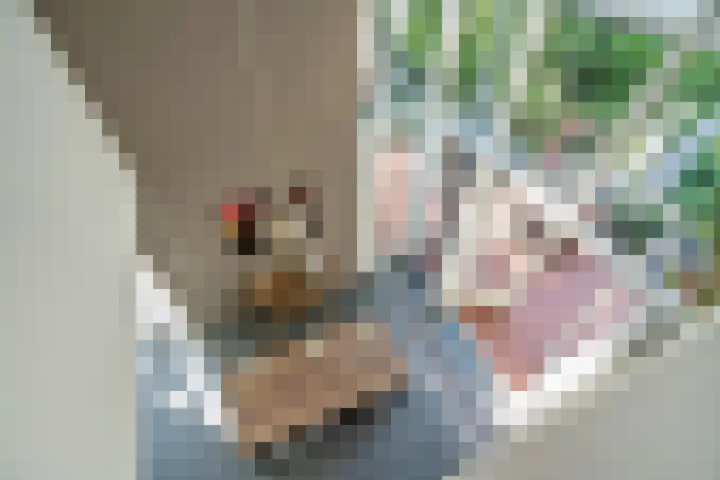 Behrenslijn 13 Zoetermeer thumbnail 50
