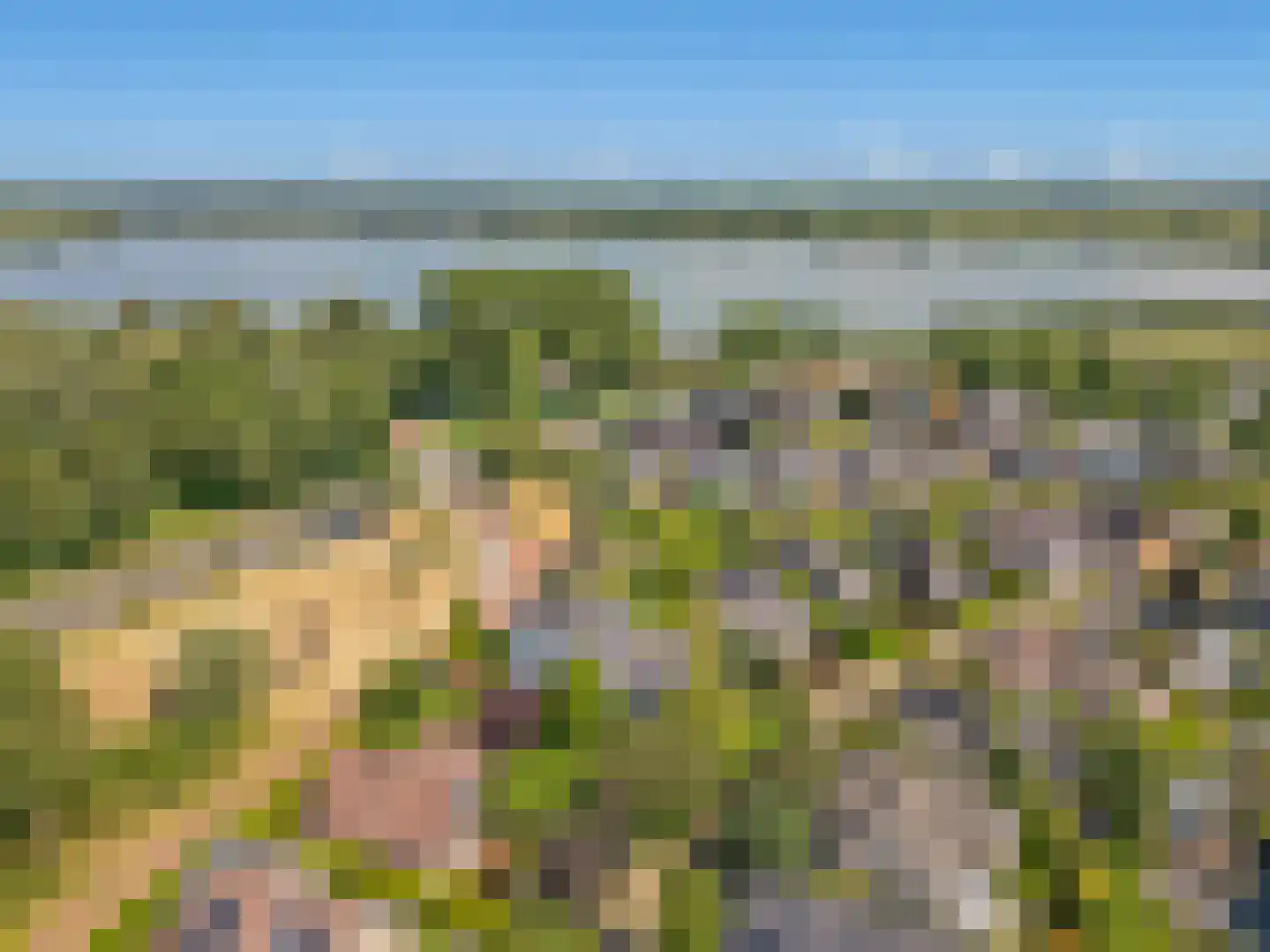 Behrenslijn 13 Zoetermeer thumbnail 59