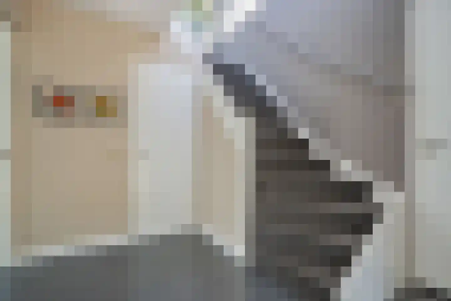 Behrenslijn 13 Zoetermeer thumbnail 6