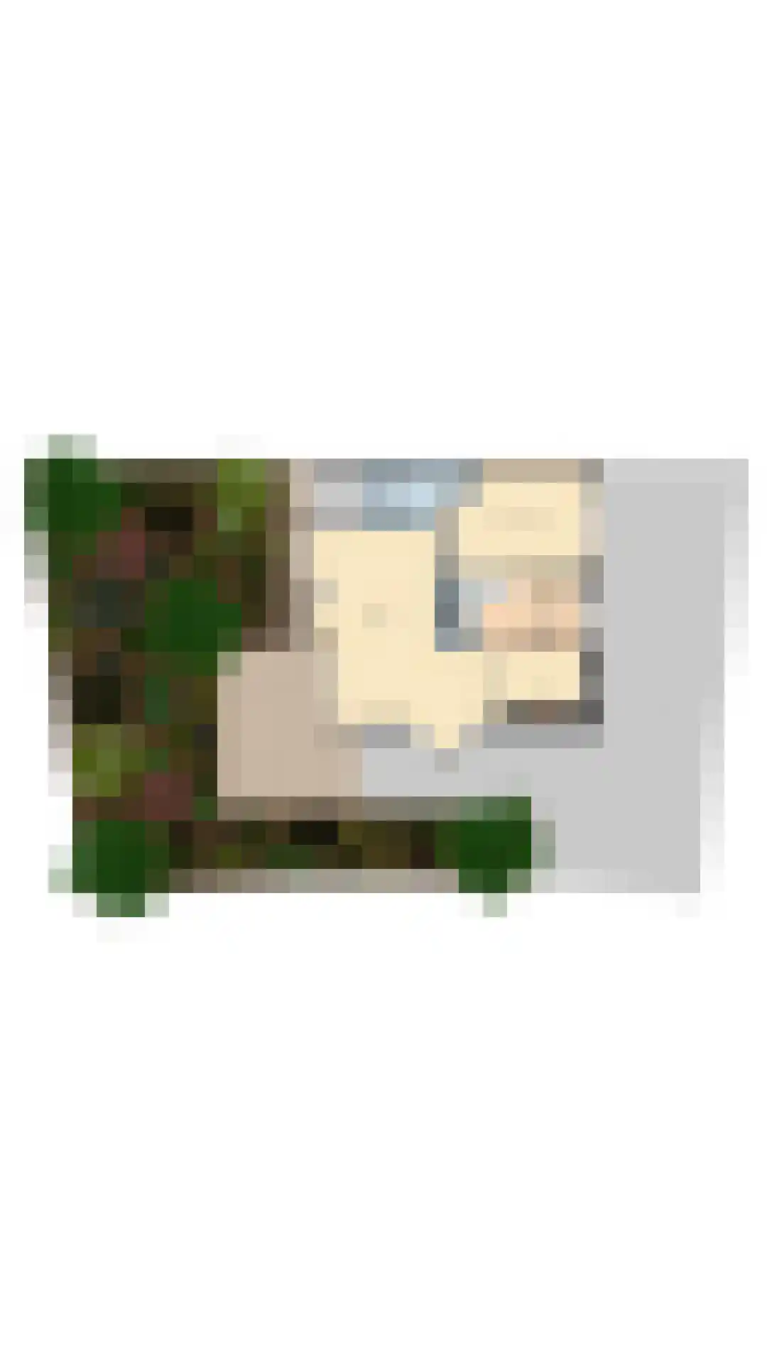 Behrenslijn 13 Zoetermeer thumbnail 62
