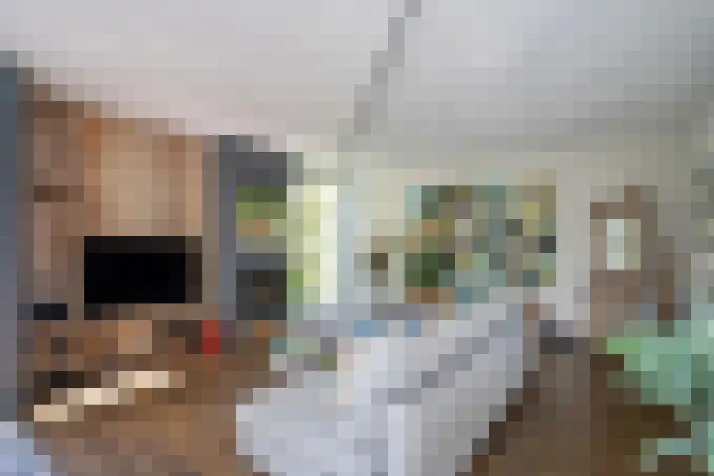Behrenslijn 13 Zoetermeer thumbnail 8