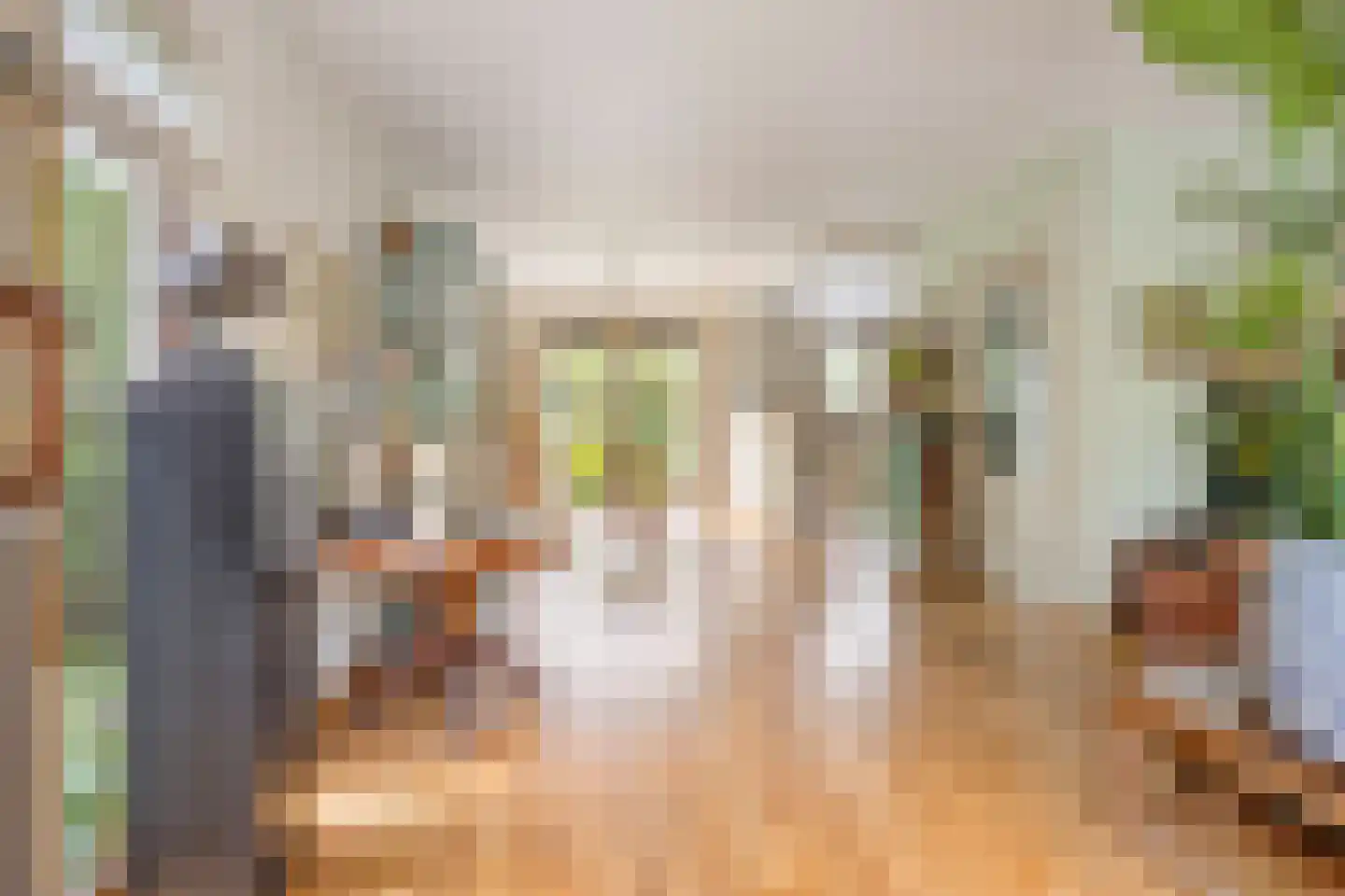 Behrenslijn 15 Zoetermeer thumbnail 11