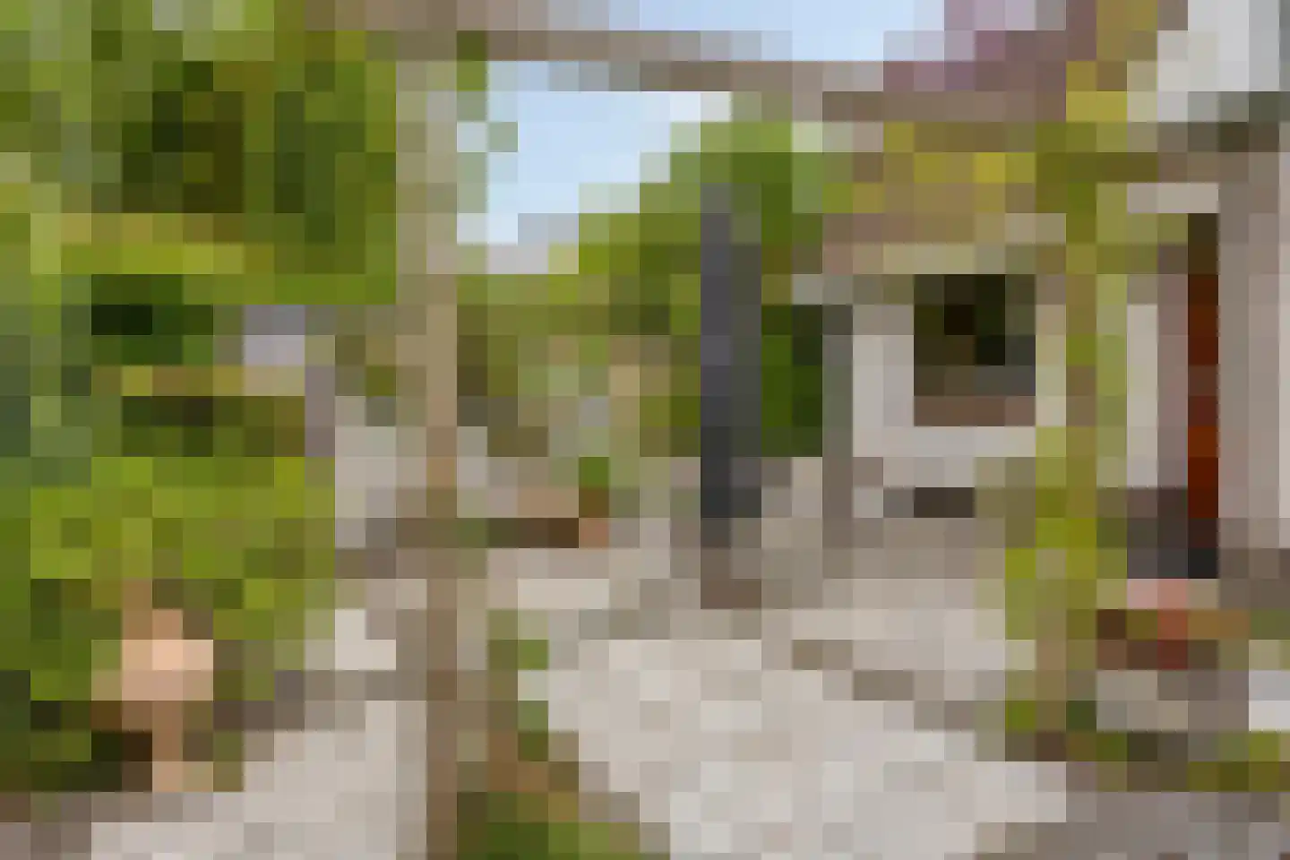 Behrenslijn 15 Zoetermeer thumbnail 14