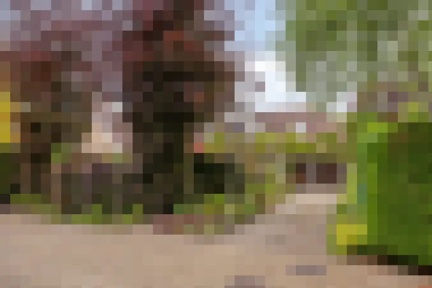 Behrenslijn 15 Zoetermeer thumbnail 26