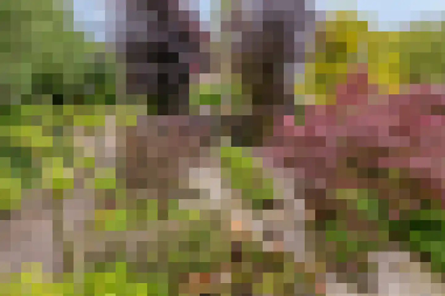 Behrenslijn 15 Zoetermeer thumbnail 36