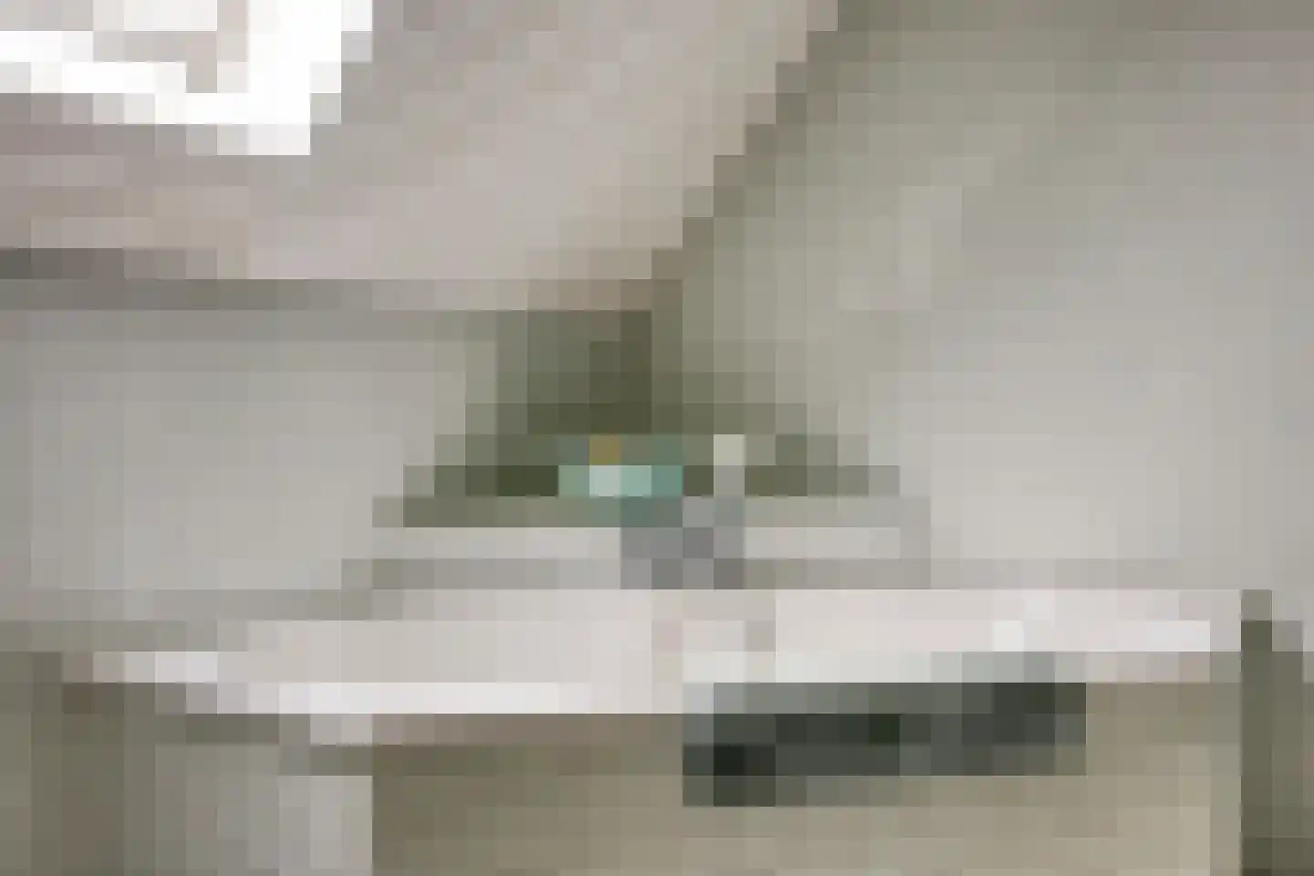 Behrenslijn 15 Zoetermeer thumbnail 41