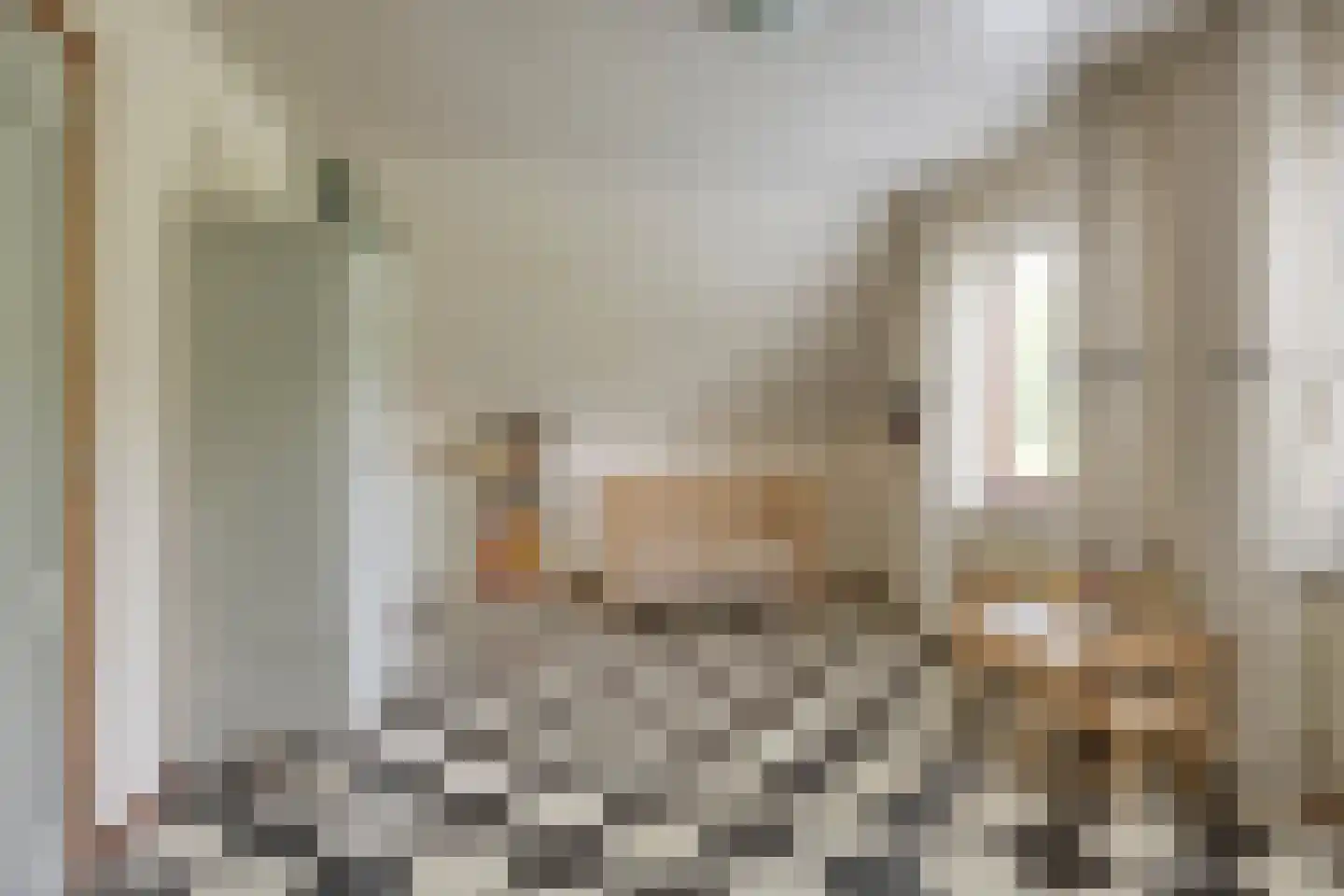 Behrenslijn 15 Zoetermeer thumbnail 44