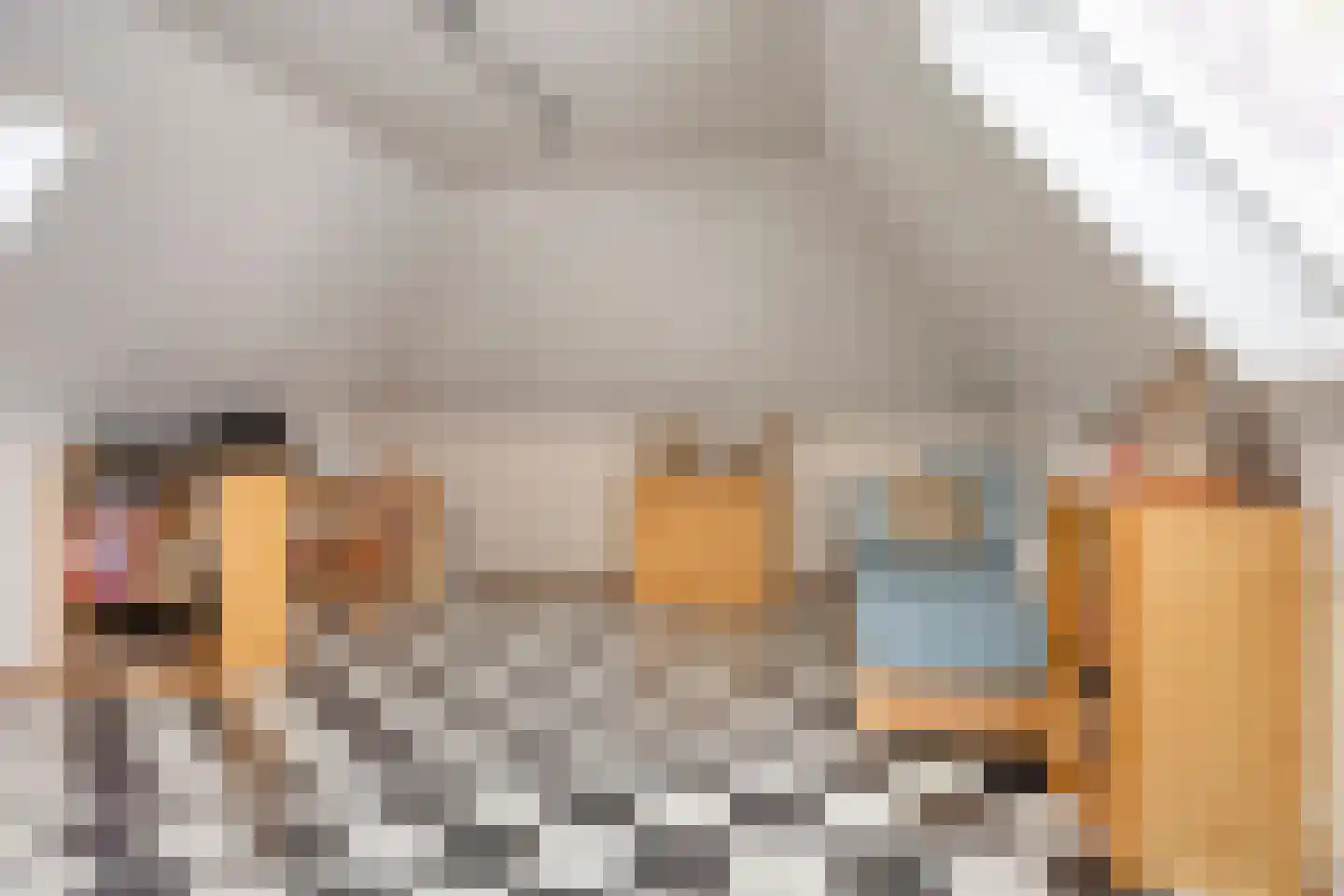 Behrenslijn 15 Zoetermeer thumbnail 46