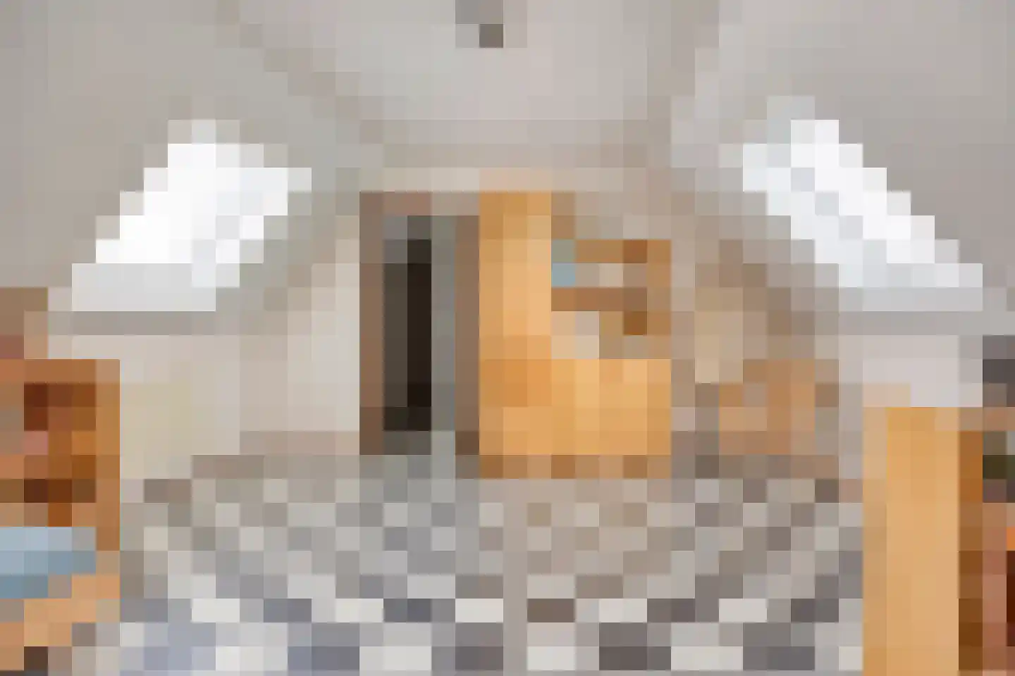 Behrenslijn 15 Zoetermeer thumbnail 47