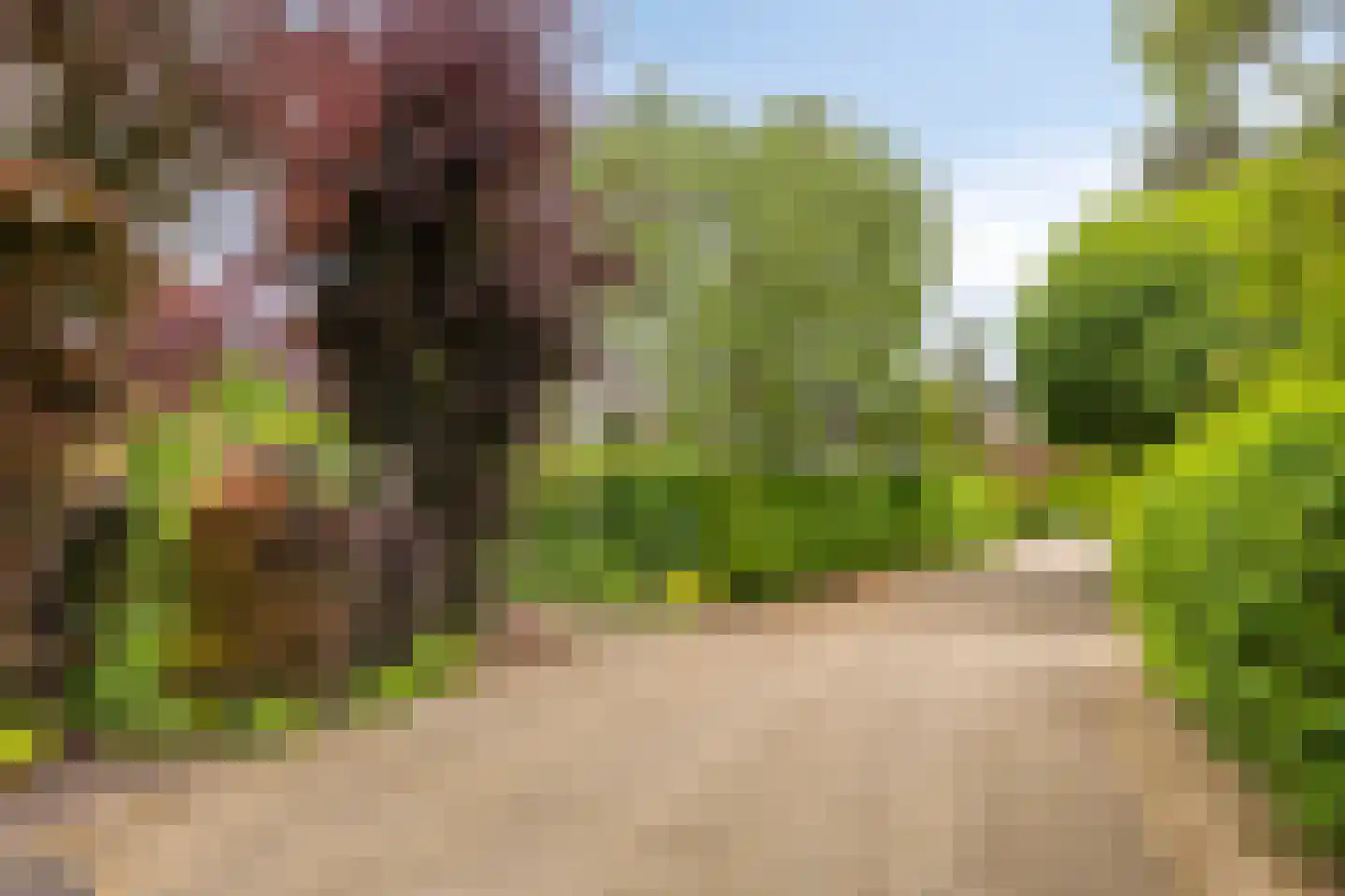 Behrenslijn 15 Zoetermeer thumbnail 49