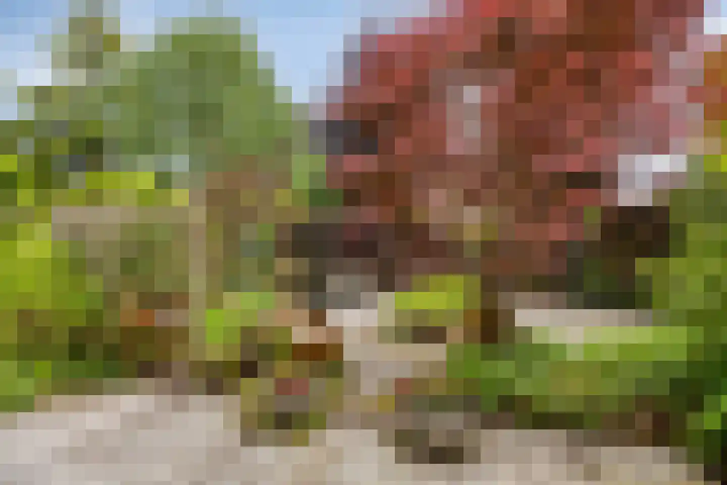 Behrenslijn 15 Zoetermeer thumbnail 5