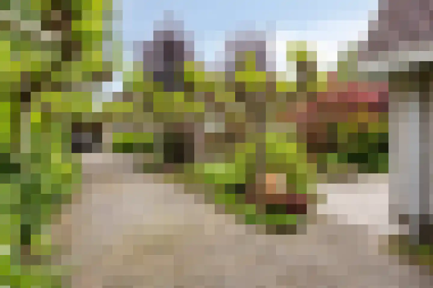 Behrenslijn 15 Zoetermeer thumbnail 50