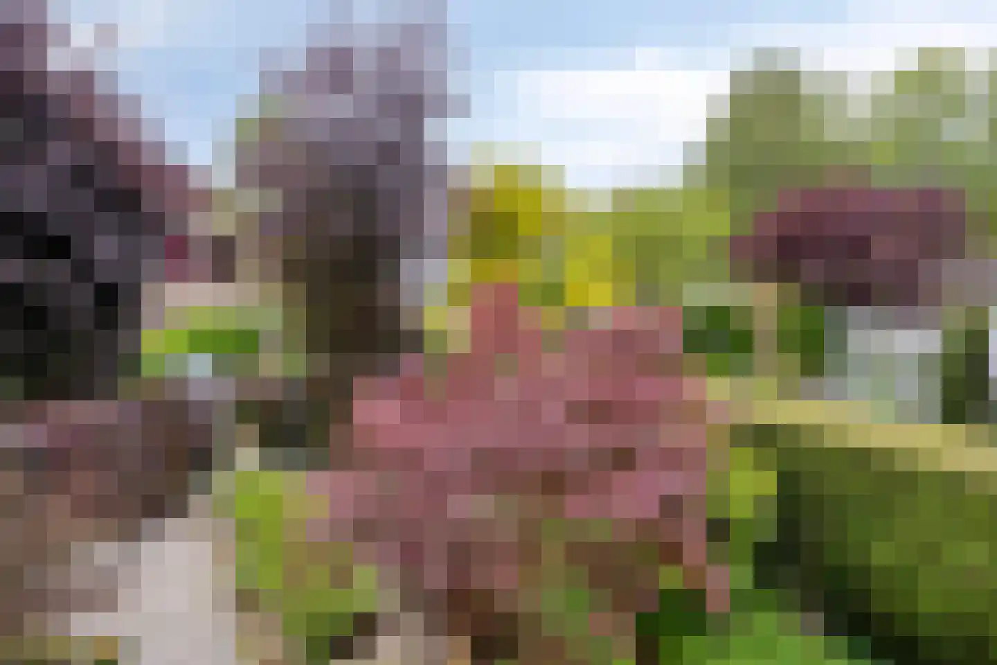 Behrenslijn 15 Zoetermeer thumbnail 51