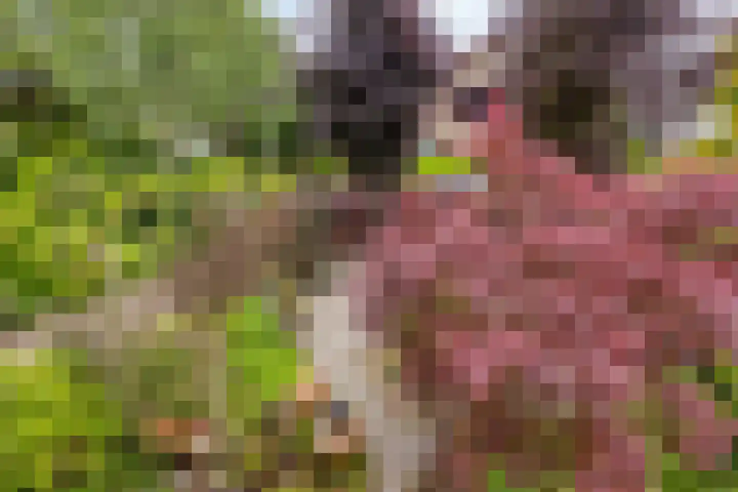 Behrenslijn 15 Zoetermeer thumbnail 52