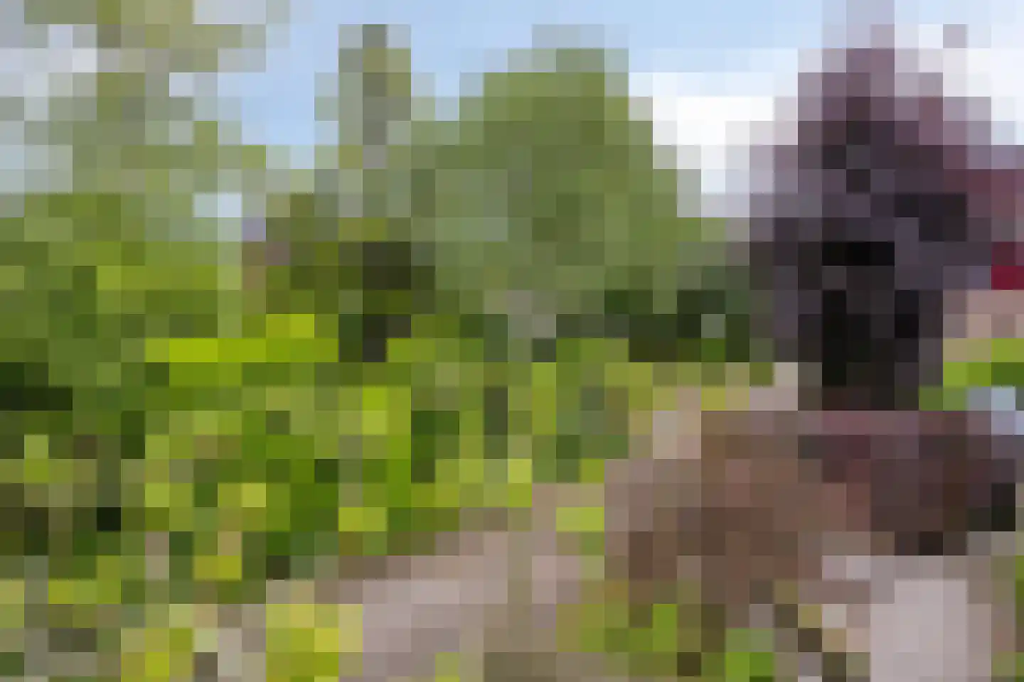 Behrenslijn 15 Zoetermeer thumbnail 53