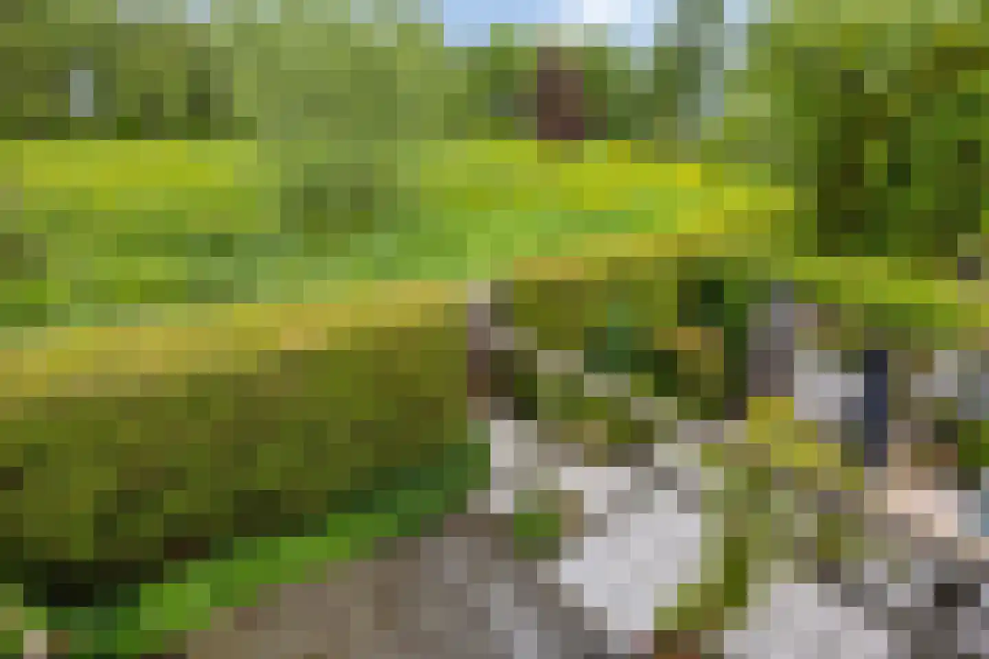 Behrenslijn 15 Zoetermeer thumbnail 55