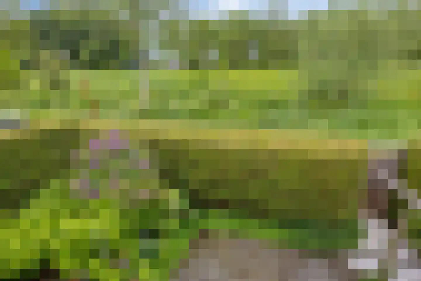 Behrenslijn 15 Zoetermeer thumbnail 56