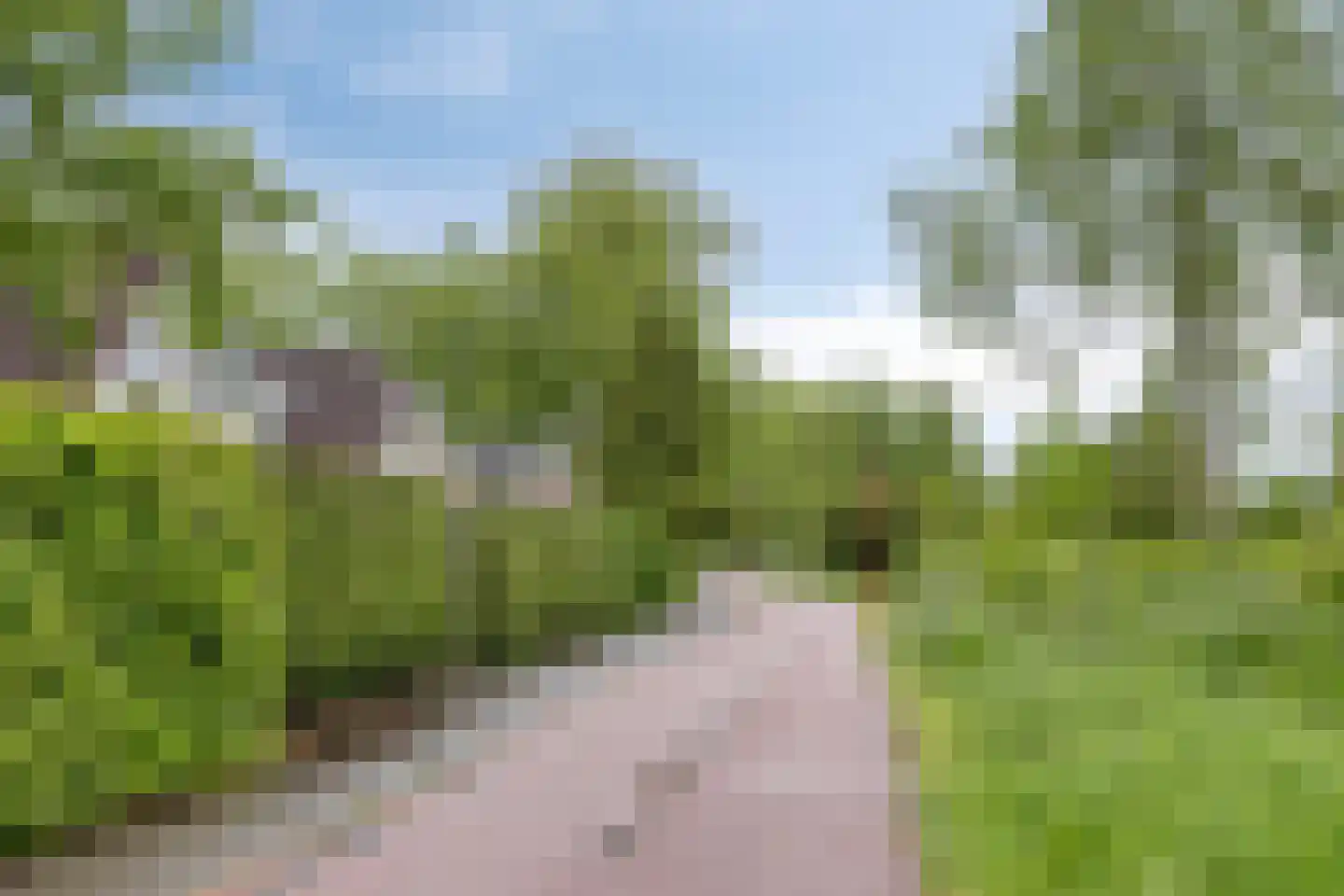 Behrenslijn 15 Zoetermeer thumbnail 57