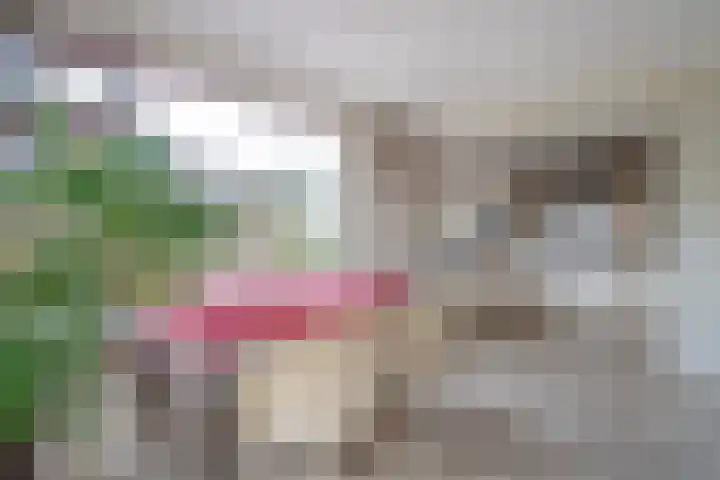 Behrenslijn 19 Zoetermeer thumbnail 13