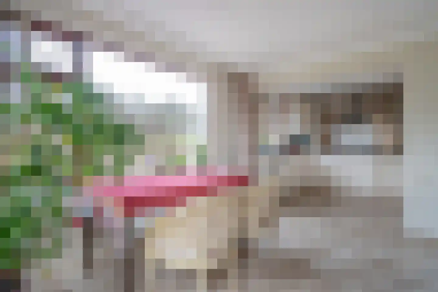 Behrenslijn 19 Zoetermeer thumbnail 13