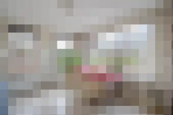 Behrenslijn 19 Zoetermeer thumbnail 17