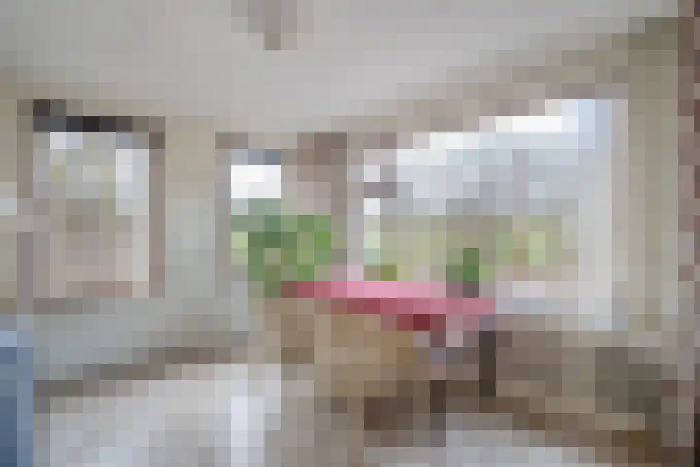 Behrenslijn 19 Zoetermeer thumbnail 17