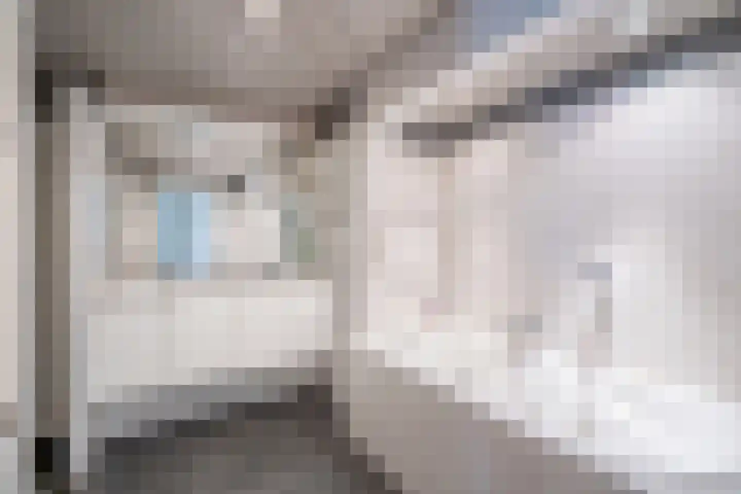 Behrenslijn 19 Zoetermeer thumbnail 24