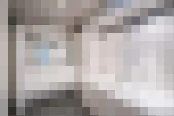 Behrenslijn 19 Zoetermeer thumbnail 24