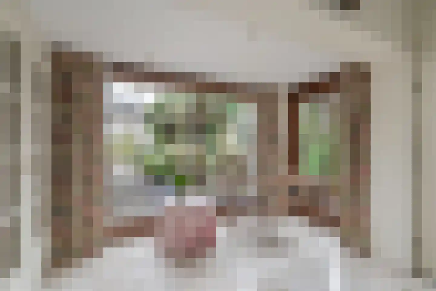 Behrenslijn 19 Zoetermeer thumbnail 29