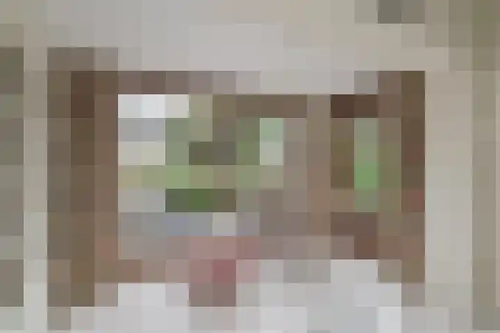 Behrenslijn 19 Zoetermeer thumbnail 29
