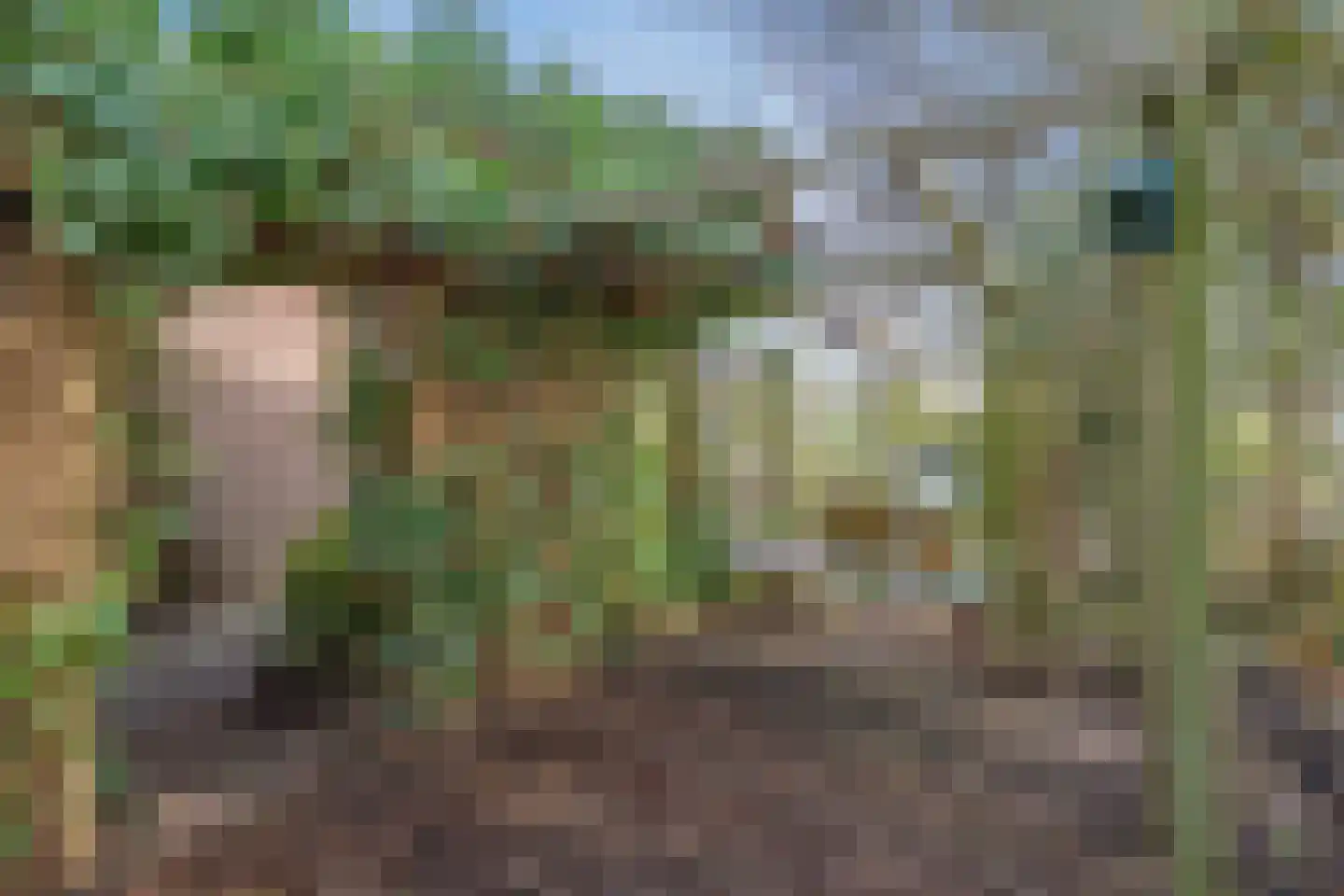 Behrenslijn 19 Zoetermeer thumbnail 31