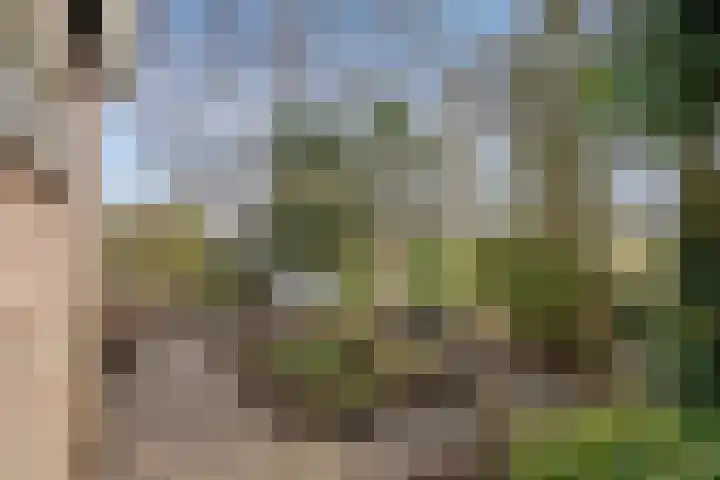 Behrenslijn 19 Zoetermeer thumbnail 32