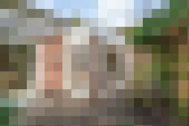 Behrenslijn 19 Zoetermeer thumbnail 33
