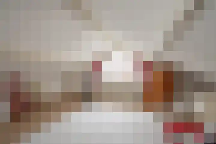Behrenslijn 19 Zoetermeer thumbnail 36