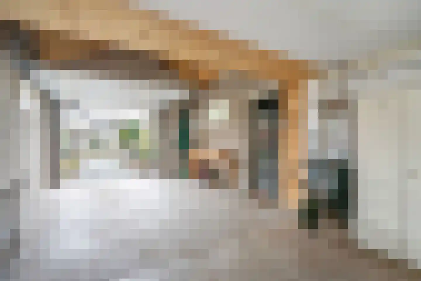 Behrenslijn 19 Zoetermeer thumbnail 42