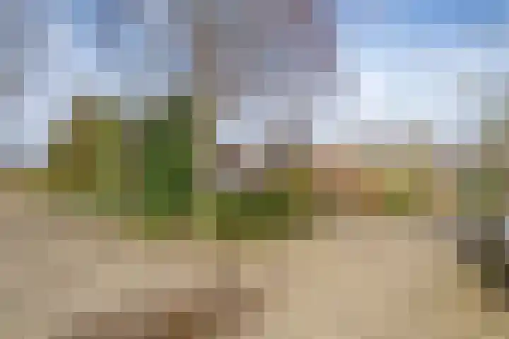 Behrenslijn 19 Zoetermeer thumbnail 47