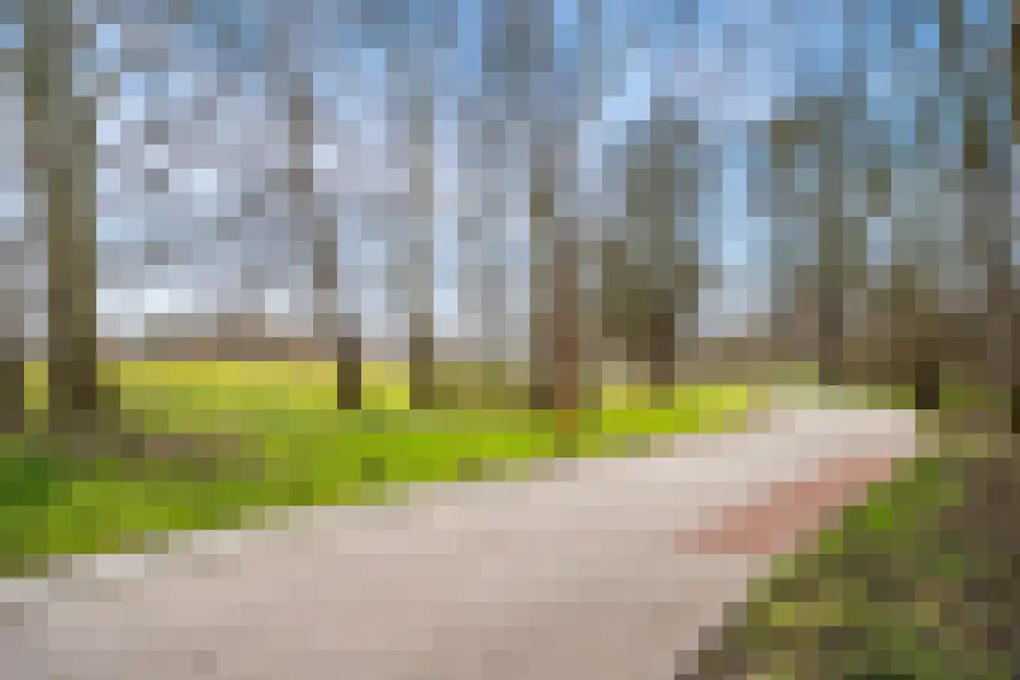 Behrenslijn 19 Zoetermeer thumbnail 48