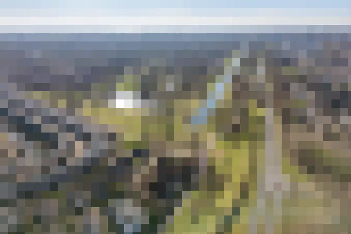 Behrenslijn 19 Zoetermeer thumbnail 53