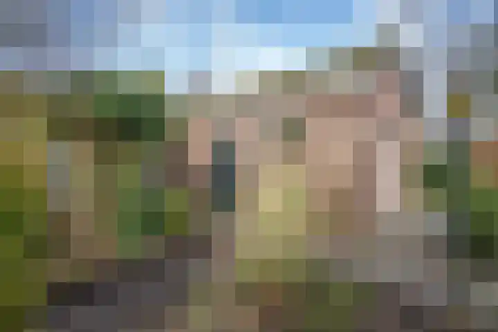 Behrenslijn 19 Zoetermeer thumbnail 6