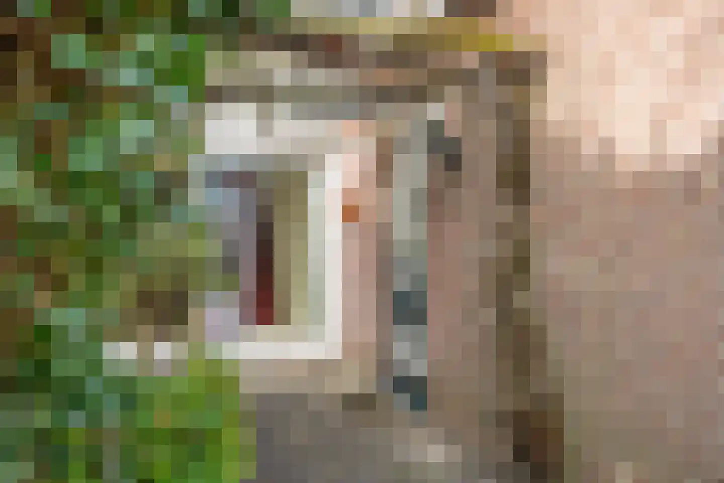 Behrenslijn 19 Zoetermeer thumbnail 7
