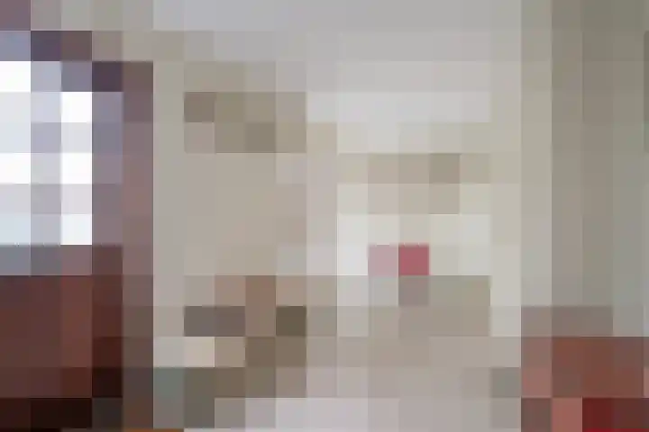 Behrenslijn 19 Zoetermeer thumbnail 8