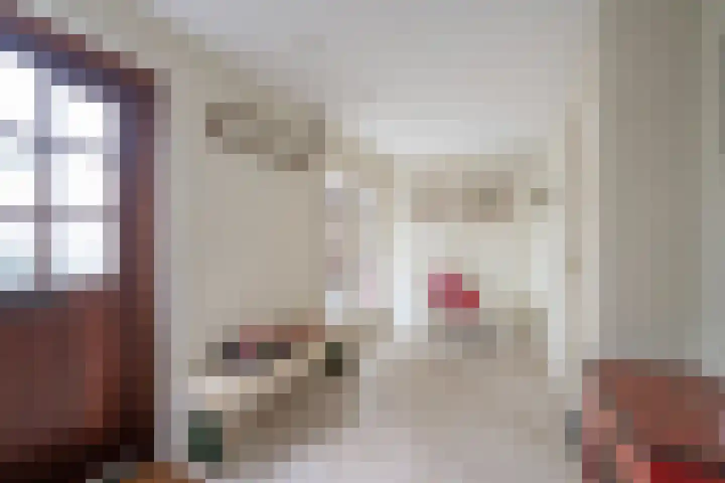 Behrenslijn 19 Zoetermeer thumbnail 8